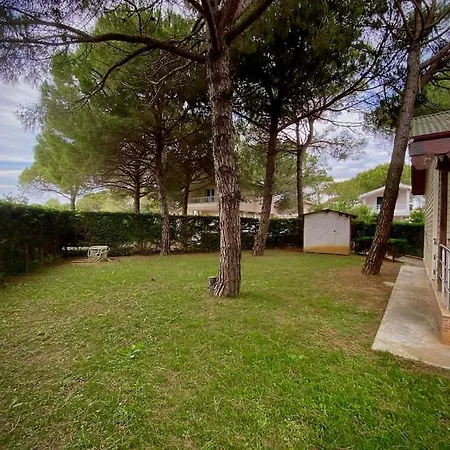 House For Rent Gjiri I Lalzit.